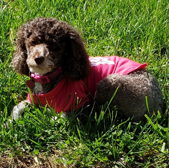 💥READ ME💥 - Picture 3 of 6